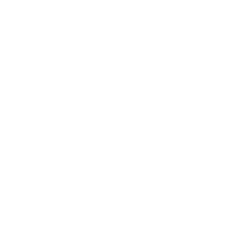 Felt